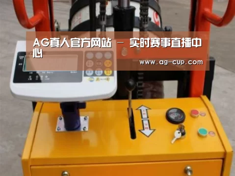 AG体育案例展示三