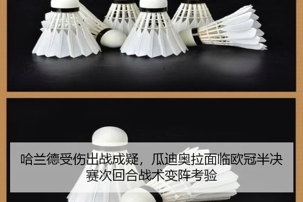 ha-lan-de-shou-shang-chu-zhan-cheng-yi-gua-di-ao-la-mian-lin-ou-guan-ban-jue-sai-ci-hui-he-zhan-shu-bian-zhen-kao-yan-3-390.jpg