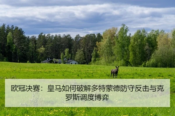 欧冠决赛：皇马如何破解多特蒙德防守反击与克罗斯调度博弈