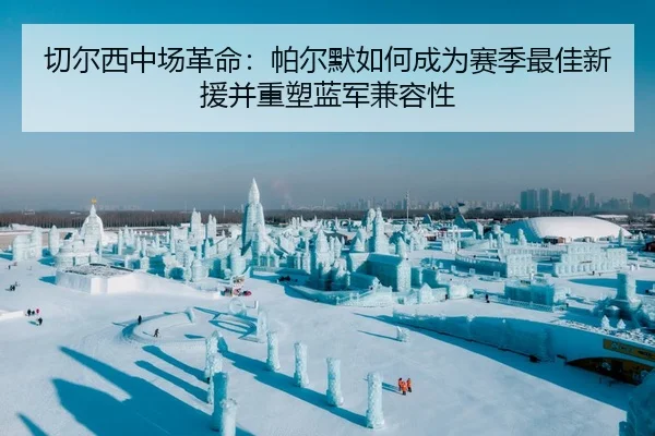 切尔西中场革命：帕尔默如何成为赛季最佳新援并重塑蓝军兼容性