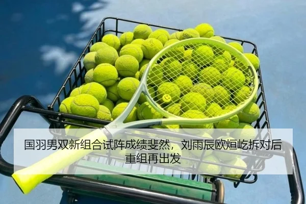guo-yu-nan-shuang-xin-zu-he-shi-zhen-cheng-ji-fei-ran-liu-yu-chen-ou-xuan-yi-chai-dui-hou-chong-zu-zai-chu-fa-3-943.jpg