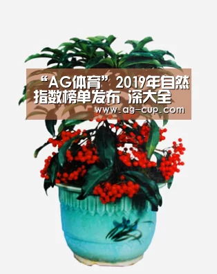 AG足球